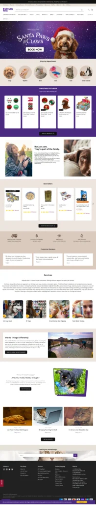 Website Development